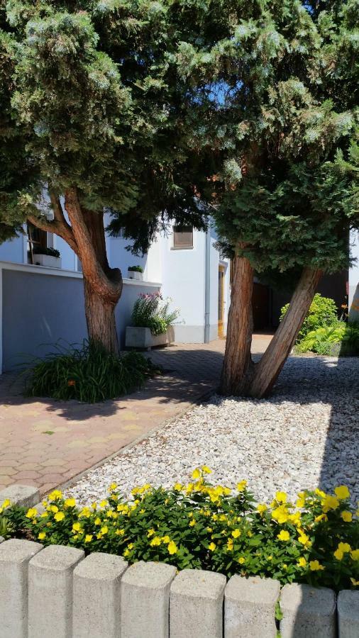 Ferienwohnungen Magedler Lutzmannsburg Εξωτερικό φωτογραφία